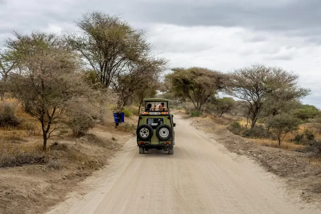 Kenya safaris